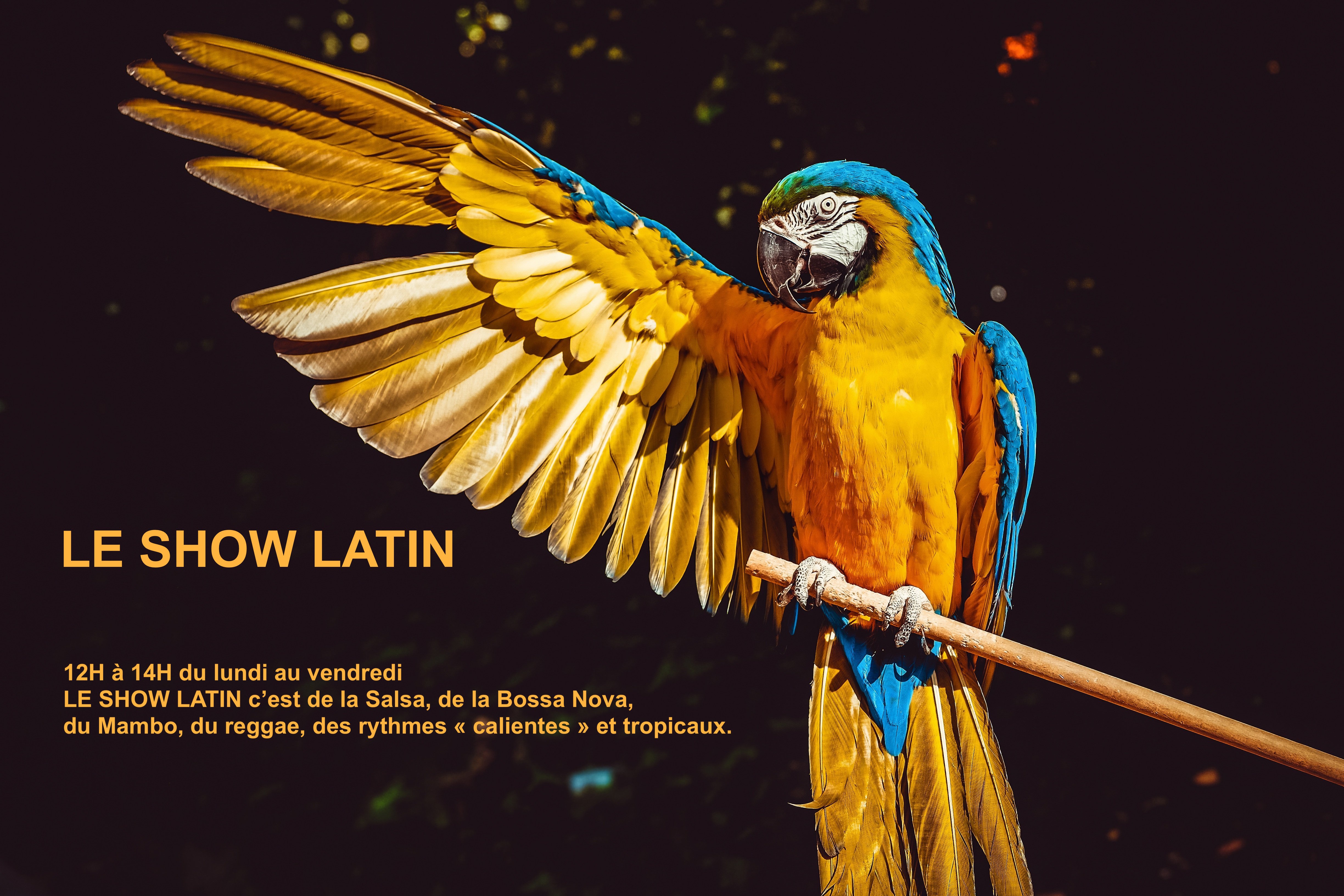 Show Latin